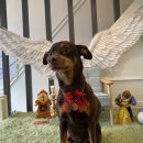 멍스라이프 이미지