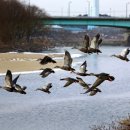 다소농장 이미지