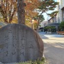 대전성룡초등학교 이미지