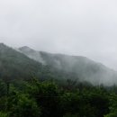 무릉도원 Daum카페