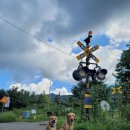 서광식당 이미지