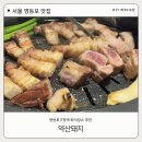 당산로 | 영등포구청역 근처 회식 장소 추천 / 직원들이 구워주는 고기맛집 약산돼지 후기