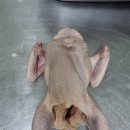 부산삼계유통