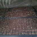 김준농장 이미지