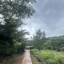 제주4·3 평화기념관 | [제주] 갈치조림맛집 교래퐁낭, 돌문화공원, 제주4·3평화기념관, 명동왕만두 탐방기!