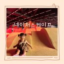 네이처스 티 | 경기도 동탄] 네이처스케이프♥︎ 리뉴얼 달라진 점 , 아이랑 갈만한곳 솔직후기