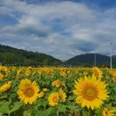 산외면행정복지센터 이미지