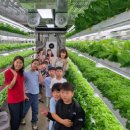 가북초등학교 이미지