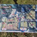 신안 | [신안] 2026 신안 임자도 튤립축제 후기 정보 꿀팁