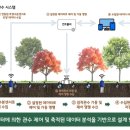 관수가