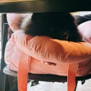 아테네커피 이미지