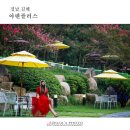 플러스24 이미지