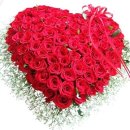 김대연의원 이미지