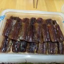 해초과메기
