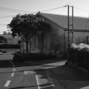 일과1리 이미지