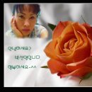 문학사랑약국 이미지