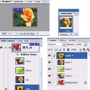 Photoshop Cs2 Rollover ,Down, Up, Out 버튼만들기 이미지