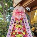 지에스(GS)25 횡성이안점 이미지