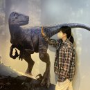 블루브릭스남산 | 6월 1주차 주간일기 - 포스트 코로나, 향수와 문화생활의 시작