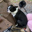 캠누리 오토 캠핑장 이미지