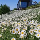 줄포만 게스트하우스 이미지