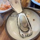 통영 굴 맛집 1등 현지인이 추천한 대풍관 테이블링 꼭 해라