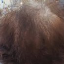 미소머리방 | 머리 펌,매번 실패하셨나요?😮‍💨💁‍♀️홍천서석면 &#34;예쁜머리방아이롱펌&#34;으로 인생머리 찿은 고객님의 리얼 후기!