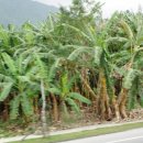 심산농장 이미지