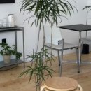 코프키노 이미지