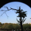 드림랜드 이미지