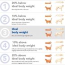 거제동물병원 이미지