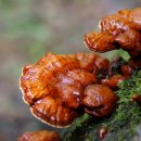 영지2농장 이미지