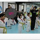 상원 용인대 태권도 이미지