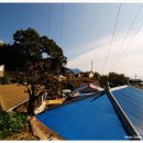 파아란지붕 이미지