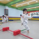 용인대 청솔 태권도 이미지