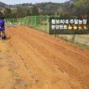 황보농장 이미지