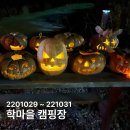 학마을캠프 이미지