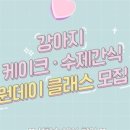 둥글댕글 이미지