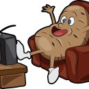 카우치포테이토(Couch Potato)