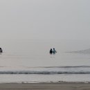 신안군 비금면의 명사십리 해변의 후리질 장면 이미지