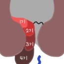 위대항외과의원 이미지