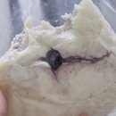 문둔길 | 대구 동성로 두바이초코소금빵 맛집 소베 웨이팅 내돈내산 후기