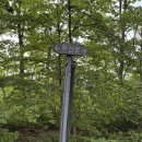민둥산 종주 #2 증산초교~ 정상/돌리네 ~ 몰운산(지억산) ~화암약수 주차장 - 대중교통으로 다녀온 후기
