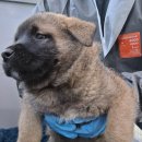 용소금각로 이미지