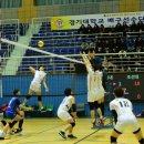 장성군민회관 이미지