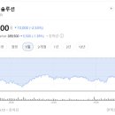 지분쇼크