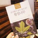분당 서현동 맛집 :: 백년대가 후기