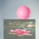 섬꽃향기 민박 이미지