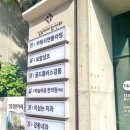 티앤블라썸