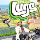 스카이라인루지부산 이미지